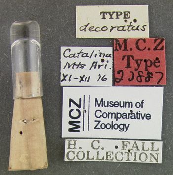 Media type: image;   Entomology 23887 Aspect: labels